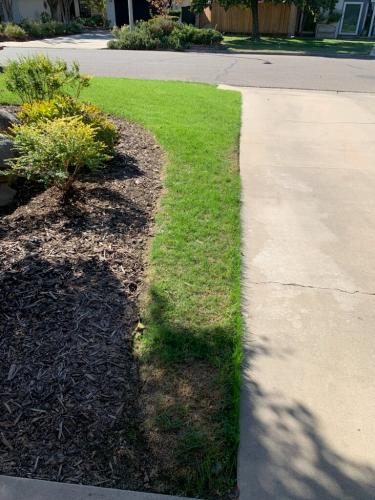 15597487409 14804459867 1 1681872280472