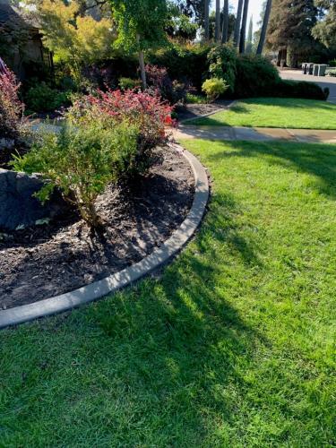 15597487409 14804459867 1 1681872326076