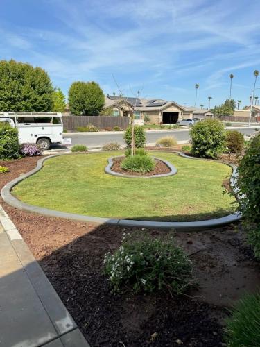 15597487409 14804459867 1 1682187423263