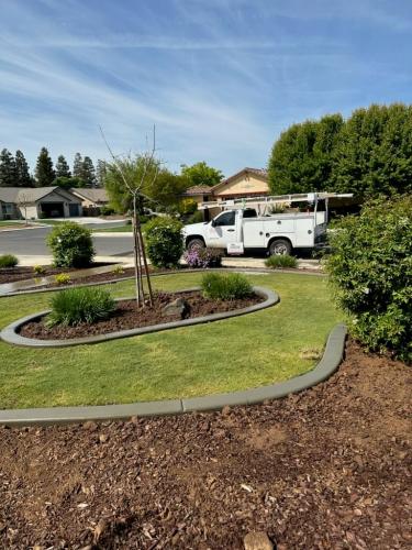 15597487409 14804459867 1 1682187423595