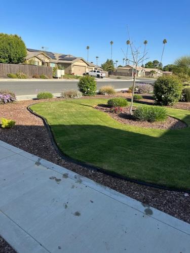 15597487409 14804459867 1 1682187445781