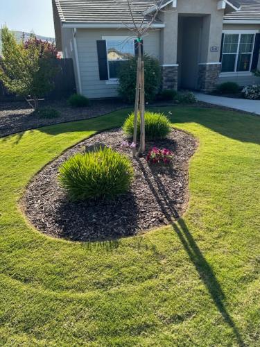 15597487409 14804459867 1 1682187452434