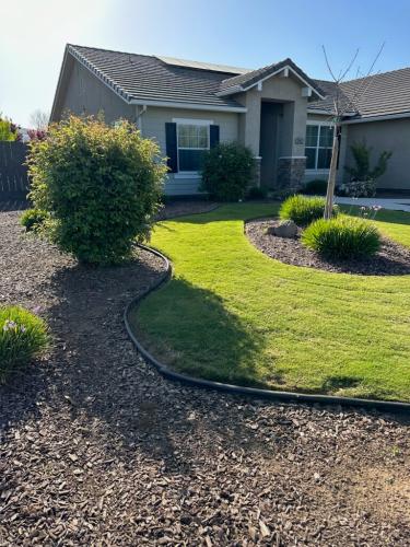 15597487409 14804459867 1 1682187453709