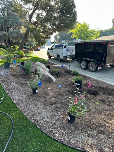 15597487409 14804459867 1 1682900247249