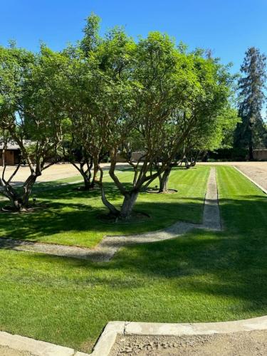 15597487409 14804459867 1 1682993857928