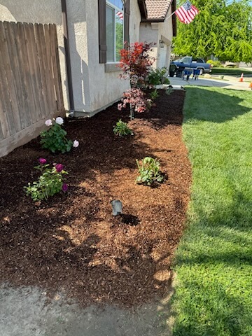 15597487409 14804459867 3 1682993902235